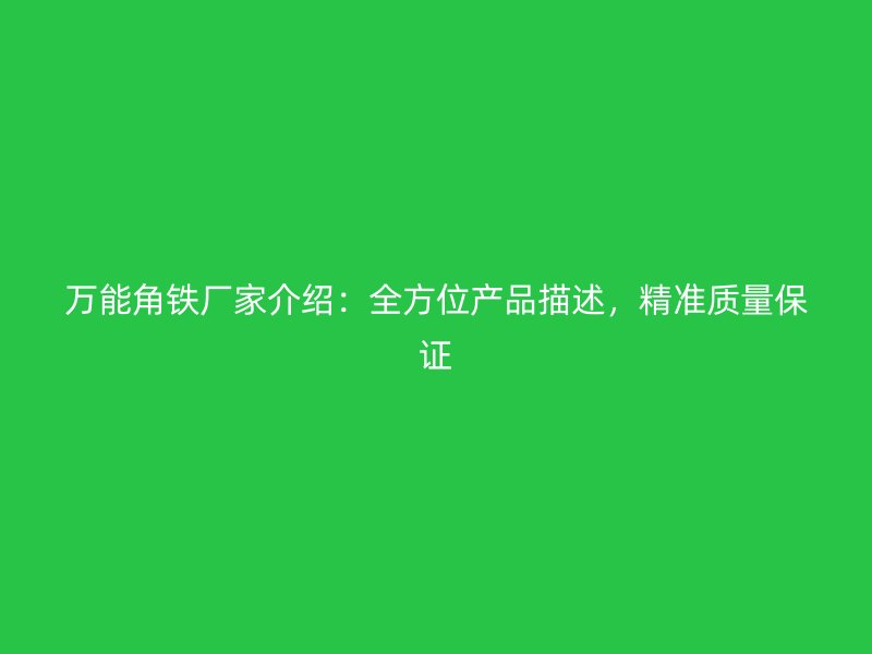 萬能角鐵廠家介紹：全方位產(chǎn)品描述，精準質量保證