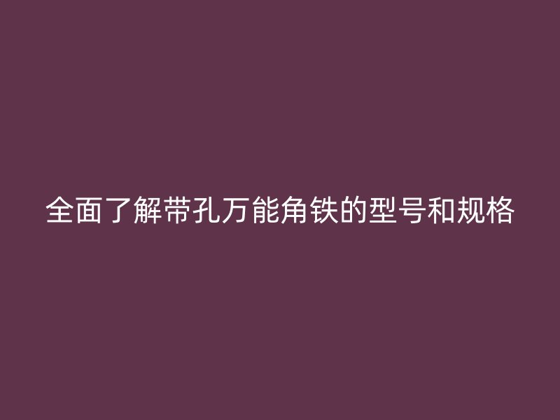 全面了解帶孔萬能角鐵的型號和規格