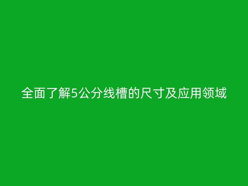 全面了解5公分線槽的尺寸及應用領域