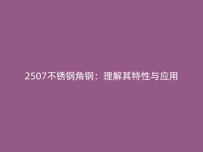 2507不銹鋼角鋼：理解其特性與應用