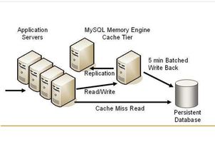 MySQL三種主要存儲引擎的區(qū)別及其在數(shù)據(jù)處理與存儲支持服務(wù)中的角色